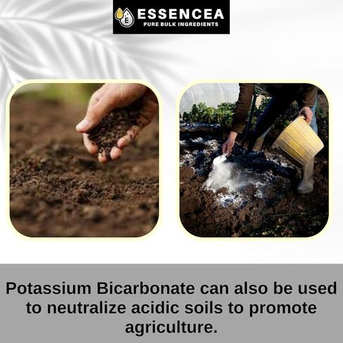 Potassium Bicarbonate 2lb by Essencea Pure Bulk Ingredients | Electrolyte and Leavening | Pure & Undiluted Potassium Supplement in Kuwait