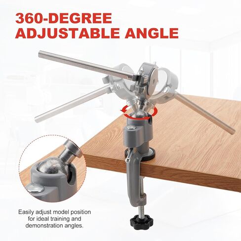 PER4MANCE Dental Typodont Mounting Pole: 360° Rotating & No Assembly Required, Ideal for Education and Training（Typodont Teeth Model is NOT Included） in Kuwait