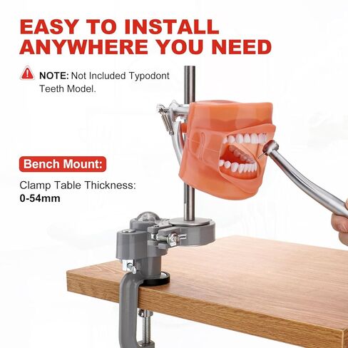 PER4MANCE Dental Typodont Mounting Pole: 360° Rotating & No Assembly Required, Ideal for Education and Training（Typodont Teeth Model is NOT Included） in Kuwait