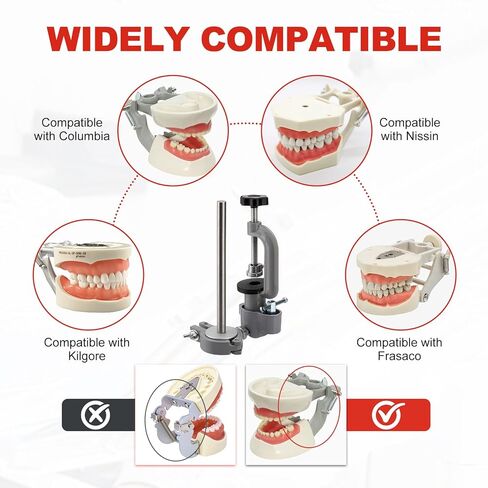 PER4MANCE Dental Typodont Mounting Pole: 360° Rotating & No Assembly Required, Ideal for Education and Training（Typodont Teeth Model is NOT Included） in Kuwait