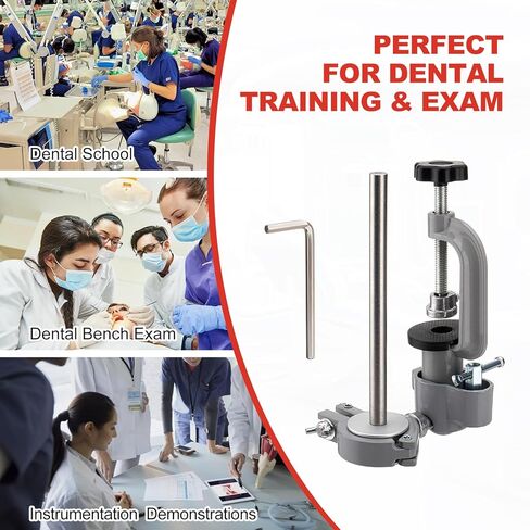 PER4MANCE Dental Typodont Mounting Pole: 360° Rotating & No Assembly Required, Ideal for Education and Training（Typodont Teeth Model is NOT Included） in Kuwait