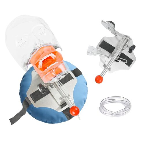 Dental Simulator Mannequin Transparent Head, Typodont Teeth Head Model Fixed on Dental Chair with Detachable Teeth, 180° Adjustable Rotation, Dental Clinic Education Practical Demonstration in Kuwait