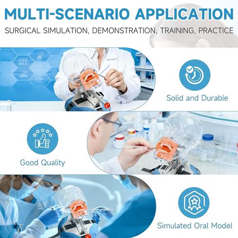 Dental Simulator Mannequin Transparent Head, Typodont Teeth Head Model Fixed on Dental Chair with Detachable Teeth, 180° Adjustable Rotation, Dental Clinic Education Practical Demonstration in Kuwait