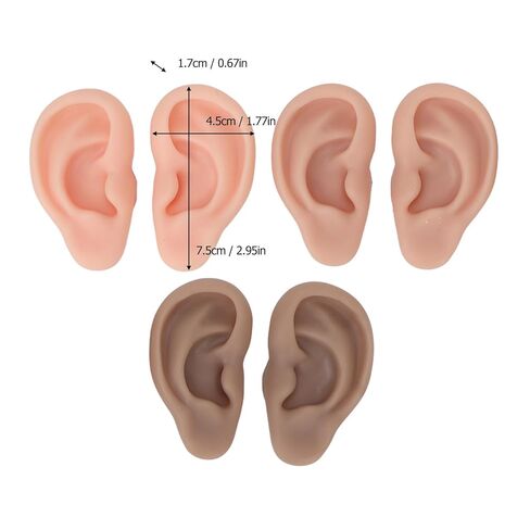 Silicone Ear Model, 3 Pairs Silicone Flexible Ear Model, 3 Colors Soft Artificial Reusable Rubber Ear for Education Display Teaching Instructions in Kuwait