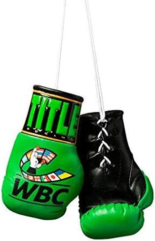 TITLE Boxing WBC 5" Mini Boxing Gloves - Pair, Green - Mini Boxing Glove Keychain, Boxing Accessories, Boxing Gift in Saudi Arabia