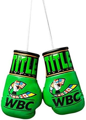 TITLE Boxing WBC 5" Mini Boxing Gloves - Pair, Green - Mini Boxing Glove Keychain, Boxing Accessories, Boxing Gift in Saudi Arabia