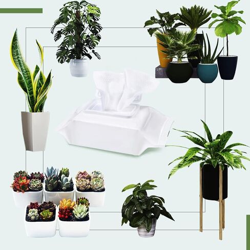 مناديل تنظيف النباتات لتألق الأوراق والتنظيف والتمثيل الضوئي، منظف أوراق النباتات المنزلية والنباتات الخارجية (80 منديلًا) in Kuwait