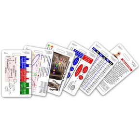 Mini Paramedic Vertical Badge Card Set - 6 Cards