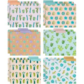 Best Paper Greetings Decorative Succulent 3 Tab File Folders, Letter Size, 1/3 Cut Tabs, 6 Cactus Designs (9.5 x 11.5 Inch) - 12 Pack
