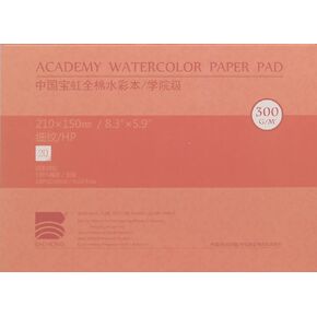 Watercolor Paper Block, BAOHONG Academy Grade Watercolor Block, 100% Cotton, Acid-Free, 140LB/300GSM, Hot Press Surface, 20 Sheets per Block (Hot Press 4.9" x7“)