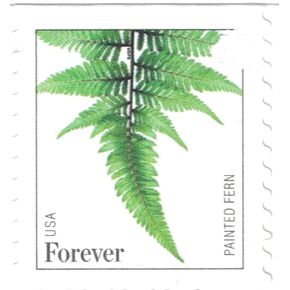 Forever Stamps Ferns - 100 Stamps (10 strips of 10 postage stamps)