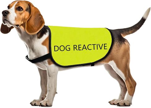 Reactive Dog Jacket Vest Dog Reactive Vest Dog Walking Slogan Warning Vest (Dog Reactive-Large) in Saudi Arabia