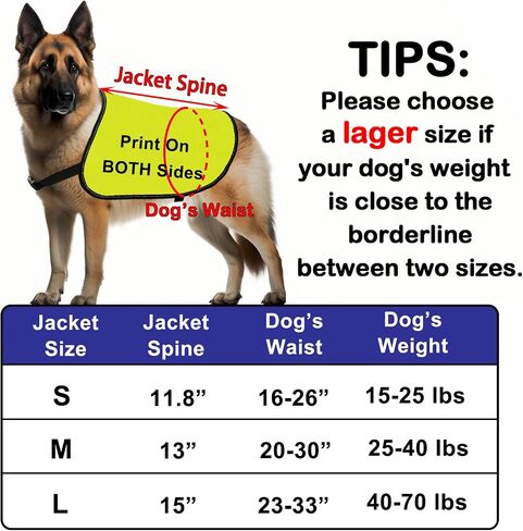 Reactive Dog Jacket Vest Dog Reactive Vest Dog Walking Slogan Warning Vest (Dog Reactive-Large) in Saudi Arabia