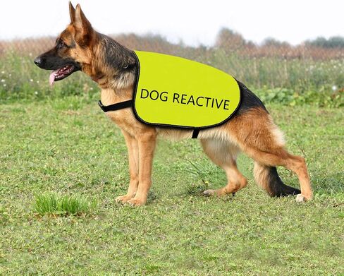 Reactive Dog Jacket Vest Dog Reactive Vest Dog Walking Slogan Warning Vest (Dog Reactive-Large) in Saudi Arabia