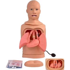 Medical Gift, Intubation Gastric Tube Model, Advanced Nasogastric Tube and Trachea Care Model, Airway Management Teaching Aid Kit for Nurses and Medical Students. in Saudi Arabia