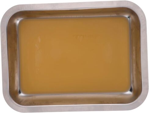 Kisangel Stainless Steel Dissection Tray Multi-Functional for Biology Lab Dental Use Tray Safety Design in Kuwait