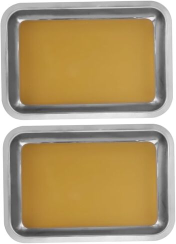 Luxshiny 2pcs Wax-Lined Dissecting Pan: 31x21cm Heavy-Duty Stainless Steel Lab Tray for Medical Schools - Anti-Spill Equipment for Student Experiments in Kuwait