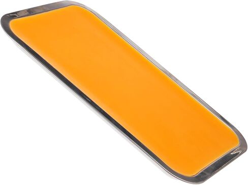 Ciieeo 1Set Stainless Steel Dissection Tray with Wax Portable Anatomy Tray for Students for Cutting and Dissection Operations Lightweight Design for Versatile Use in Saudi Arabia