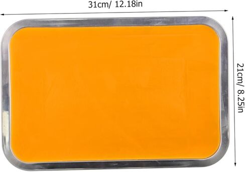 Ciieeo 1Set Stainless Steel Dissection Tray with Wax Portable Anatomy Tray for Students for Cutting and Dissection Operations Lightweight Design for Versatile Use in Saudi Arabia