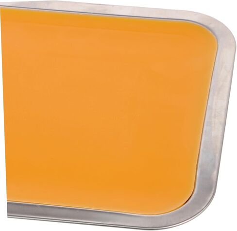 Ciieeo 1Set Stainless Steel Dissection Tray with Wax Portable Anatomy Tray for Students for Cutting and Dissection Operations Lightweight Design for Versatile Use in Saudi Arabia