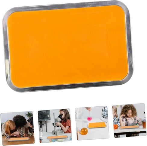 Ciieeo 1Set Stainless Steel Dissection Tray with Wax Portable Anatomy Tray for Students for Cutting and Dissection Operations Lightweight Design for Versatile Use in Saudi Arabia