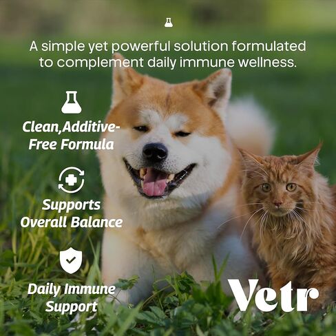 Vetr Silver Immune Support for Dogs and Cats, 4oz/120mL Liquid in Amber Bottle with Oral Dropper, Professional Grade Colloidal Silver Supplement for Daily Wellness and Seasonal Defense in Kuwait
