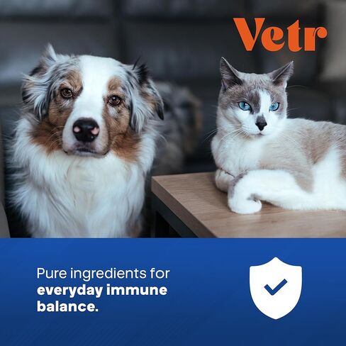 Vetr Silver Immune Support for Dogs and Cats, 4oz/120mL Liquid in Amber Bottle with Oral Dropper, Professional Grade Colloidal Silver Supplement for Daily Wellness and Seasonal Defense in Kuwait