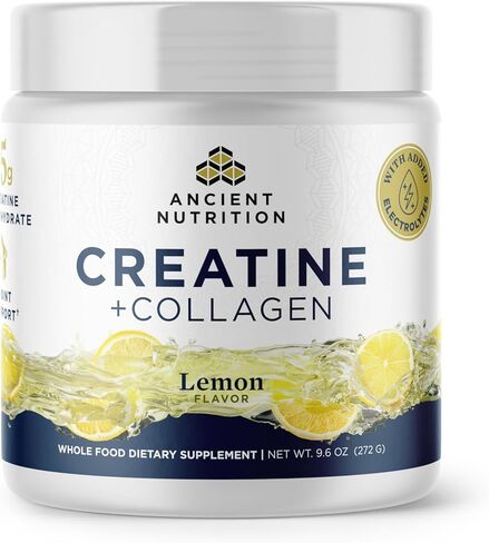 Ancient Nutrition Creatine + Collagen – Muscle Strength, Lean Body Mass, Joint Comfort & Cognitive Support – Includes 5g Creatine Monohydrate for Women + Electrolytes, Lemon, 30 Servings in Saudi Arabia