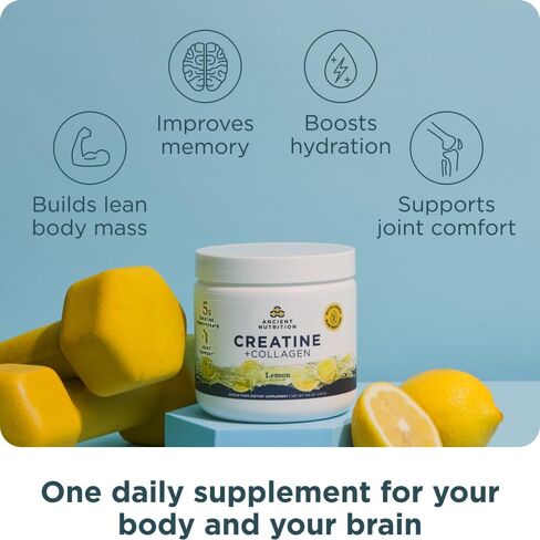 Ancient Nutrition Creatine + Collagen – Muscle Strength, Lean Body Mass, Joint Comfort & Cognitive Support – Includes 5g Creatine Monohydrate for Women + Electrolytes, Lemon, 30 Servings in Saudi Arabia