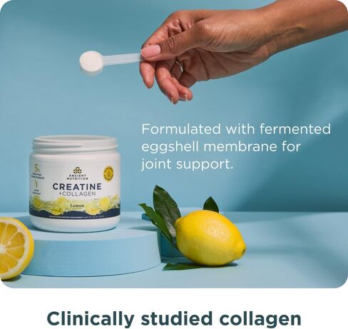 Ancient Nutrition Creatine + Collagen – Muscle Strength, Lean Body Mass, Joint Comfort & Cognitive Support – Includes 5g Creatine Monohydrate for Women + Electrolytes, Lemon, 30 Servings in Saudi Arabia