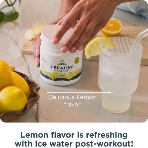 Ancient Nutrition Creatine + Collagen – Muscle Strength, Lean Body Mass, Joint Comfort & Cognitive Support – Includes 5g Creatine Monohydrate for Women + Electrolytes, Lemon, 30 Servings in Saudi Arabia