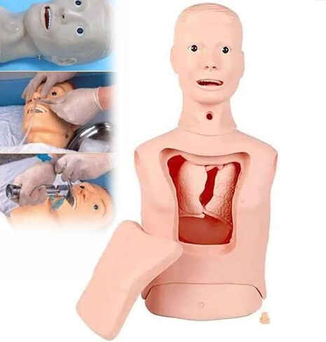 Gastric Tube Model, Advanced Nasogastric Tube and Trachea Care Model Manikin, Gastric Lavage Tracheostomy Model, for Nursing Teaching Education in Saudi Arabia