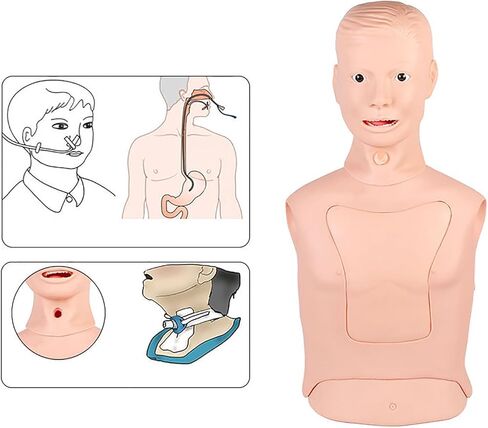 نموذج أنبوب معدي للتنبيب، دمية تمريض نصف الجسم، محاكاة حقيقية، تدريب تعليمي في مختبر العلوم للممرضات وطلاب الطب in Kuwait
