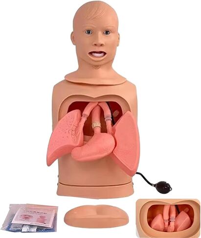 Medical Gift, Intubation Gastric Tube Model, Advanced Nasogastric Tube and Trachea Care Model, Airway Management Teaching Aid Kit for Nurses and Medical Students. in Saudi Arabia
