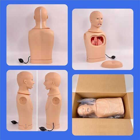 Medical Gift, Intubation Gastric Tube Model, Advanced Nasogastric Tube and Trachea Care Model, Airway Management Teaching Aid Kit for Nurses and Medical Students. in Saudi Arabia