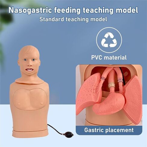 Medical Gift, Intubation Gastric Tube Model, Advanced Nasogastric Tube and Trachea Care Model, Airway Management Teaching Aid Kit for Nurses and Medical Students. in Saudi Arabia