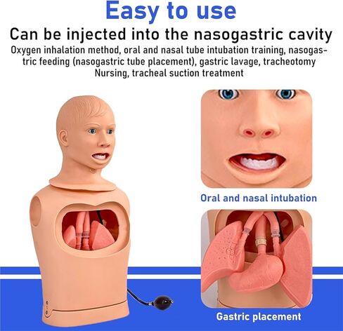Medical Gift, Intubation Gastric Tube Model, Advanced Nasogastric Tube and Trachea Care Model, Airway Management Teaching Aid Kit for Nurses and Medical Students. in Saudi Arabia