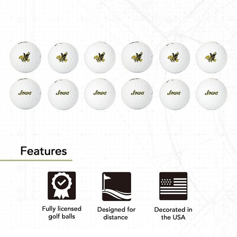 Desert Cactus University of Iowa Golf Balls 12 Pack – UI Hawkeyes Full Color Dozen – Officially Licensed Sport Team Accessory (Vintage A) in Saudi Arabia