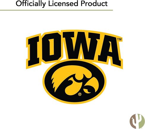 Desert Cactus University of Iowa Golf Balls 12 Pack – UI Hawkeyes Full Color Dozen – Officially Licensed Sport Team Accessory (Vintage A) in Saudi Arabia