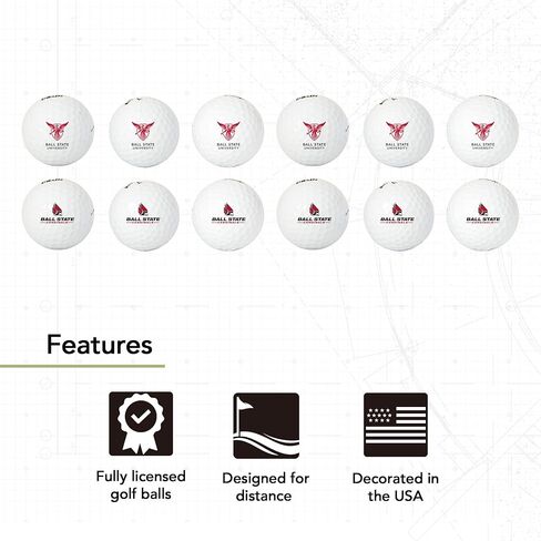 Desert Cactus Ball State University Golf Balls 12 Pack – BSU Cardinals Full Color Dozen – Officially Licensed Sport Team Accessory in Saudi Arabia