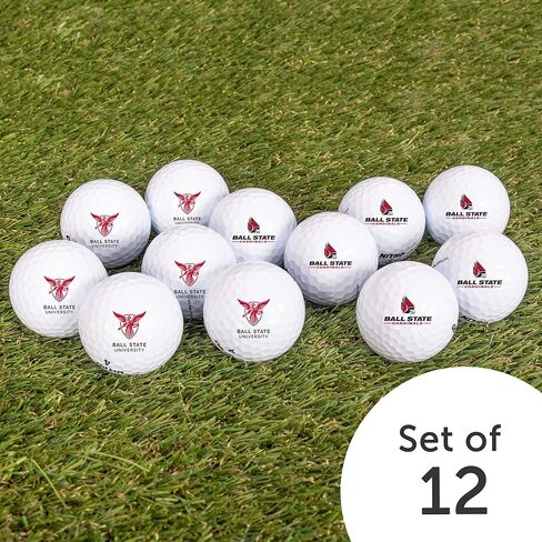Desert Cactus Ball State University Golf Balls 12 Pack – BSU Cardinals Full Color Dozen – Officially Licensed Sport Team Accessory in Saudi Arabia