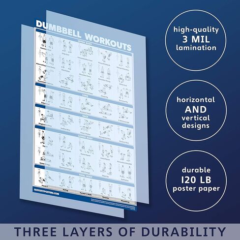Palace Learning Dumbell Workouts and Muscular System Anatomy Poster Set - Laminated 2 Chart Set - Dumbbell Exercise Routine & Muscle Anatomy Diagram - 18" x 24" in Saudi Arabia
