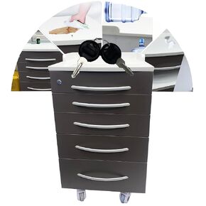 Stainless Steel Mobile Cabinet, Utility Storage Cart, 5 Silent Self-Closing Drawers File Storage Cabinet with Lock, Four Wheels & 1 Side Drawer, for Clinic/Hospital/Office and Home Use in Saudi Arabia