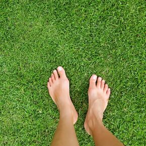 Grounding Mat - All Natural - Real Grass Pad for Health and Wellness - 24 x 20 inches with Reusable Tray in Kuwait