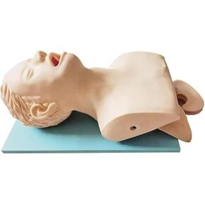 مدرب إدارة مجرى الهواء عن طريق الفم والأنف، محاكي القصبة الهوائية، نموذج تعليمي للقزم in Kuwait