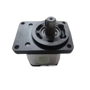 Hydraulic Gear Pump 0510525076 11-011RAB01MB MNR：0510 525 076 in Kuwait