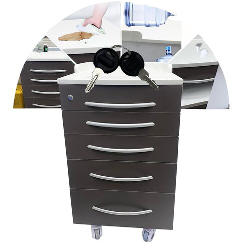 Stainless Steel Mobile Cabinet, Utility Storage Cart, 5 Silent Self-Closing Drawers File Storage Cabinet with Lock, Four Wheels & 1 Side Drawer, for Clinic/Hospital/Office and Home Use in Saudi Arabia