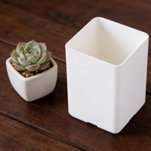 Square Plastic Pen Holder for Desk – Office Stationery & Makeup Brush Storage Container for Home & Workspace in Saudi Arabia