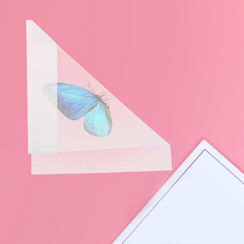 Cabilock 20 Pcs Specimen Collection Triangle Paper Bags 8.26X5.90X5.90In for Butterfly and Small Insect Storage Temporary Sample Preservation Classroom Science Teaching Envelopes in Kuwait