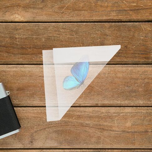 Cabilock 20 Pcs Specimen Collection Triangle Paper Bags 8.26X5.90X5.90In for Butterfly and Small Insect Storage Temporary Sample Preservation Classroom Science Teaching Envelopes in Kuwait